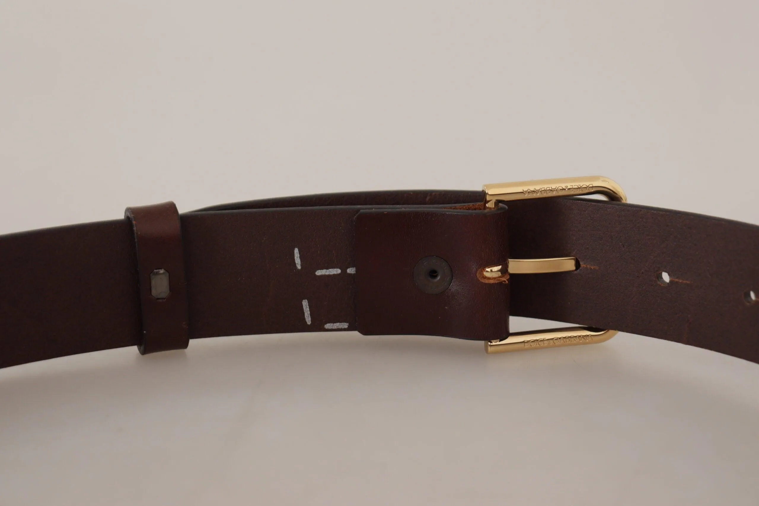 Dolce & Gabbana Brown Plain Calf Leather Gold Tone Buckle Belt
