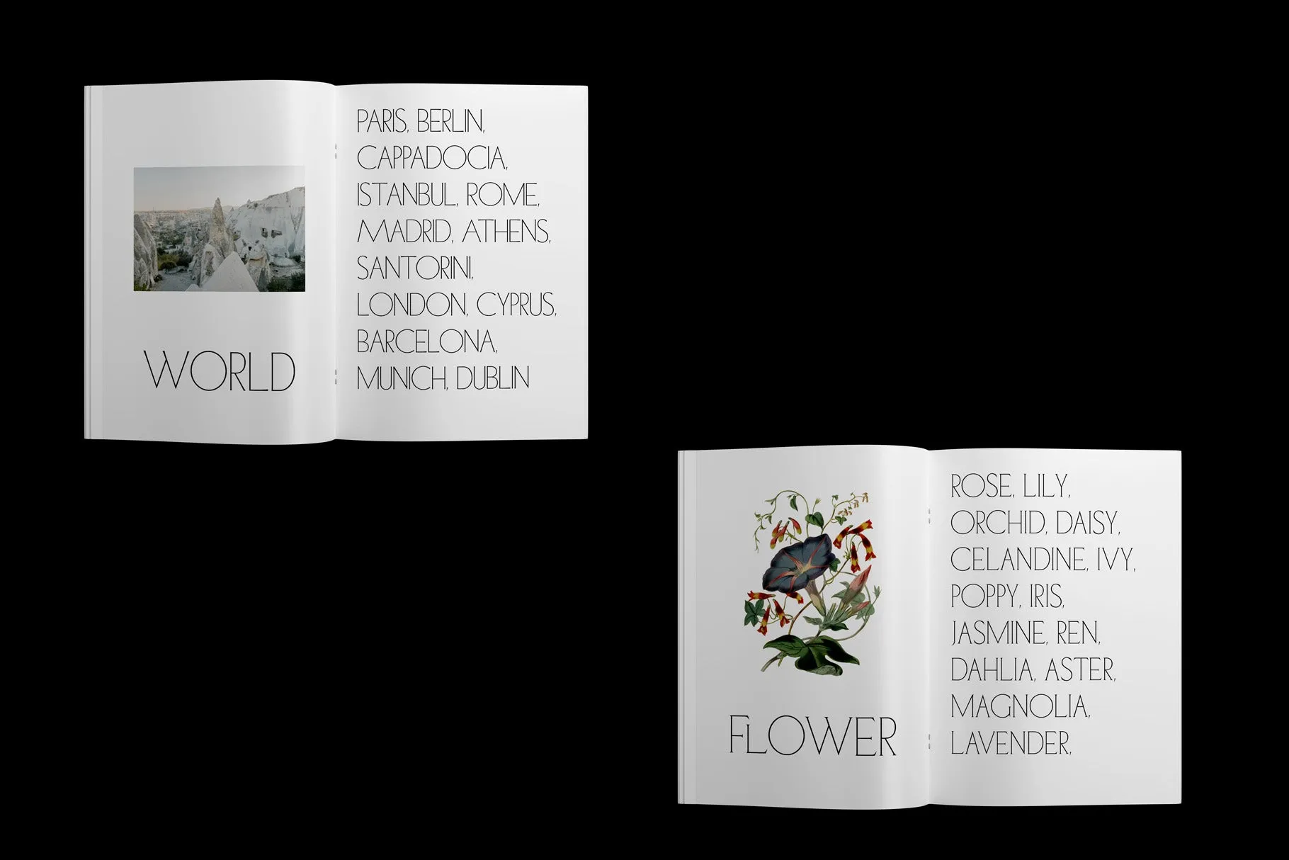 ED Fettle & Ocher Display | Font Duo
