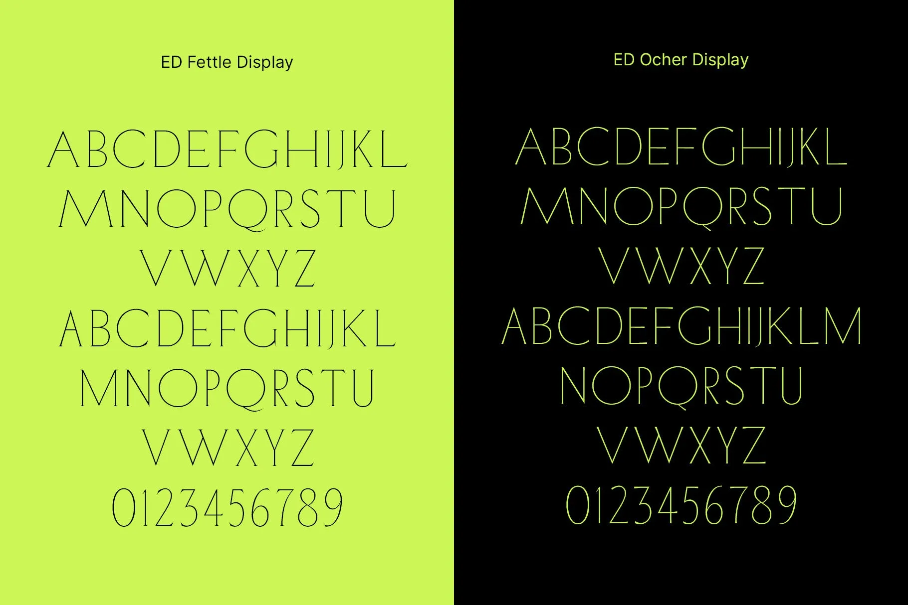 ED Fettle & Ocher Display | Font Duo
