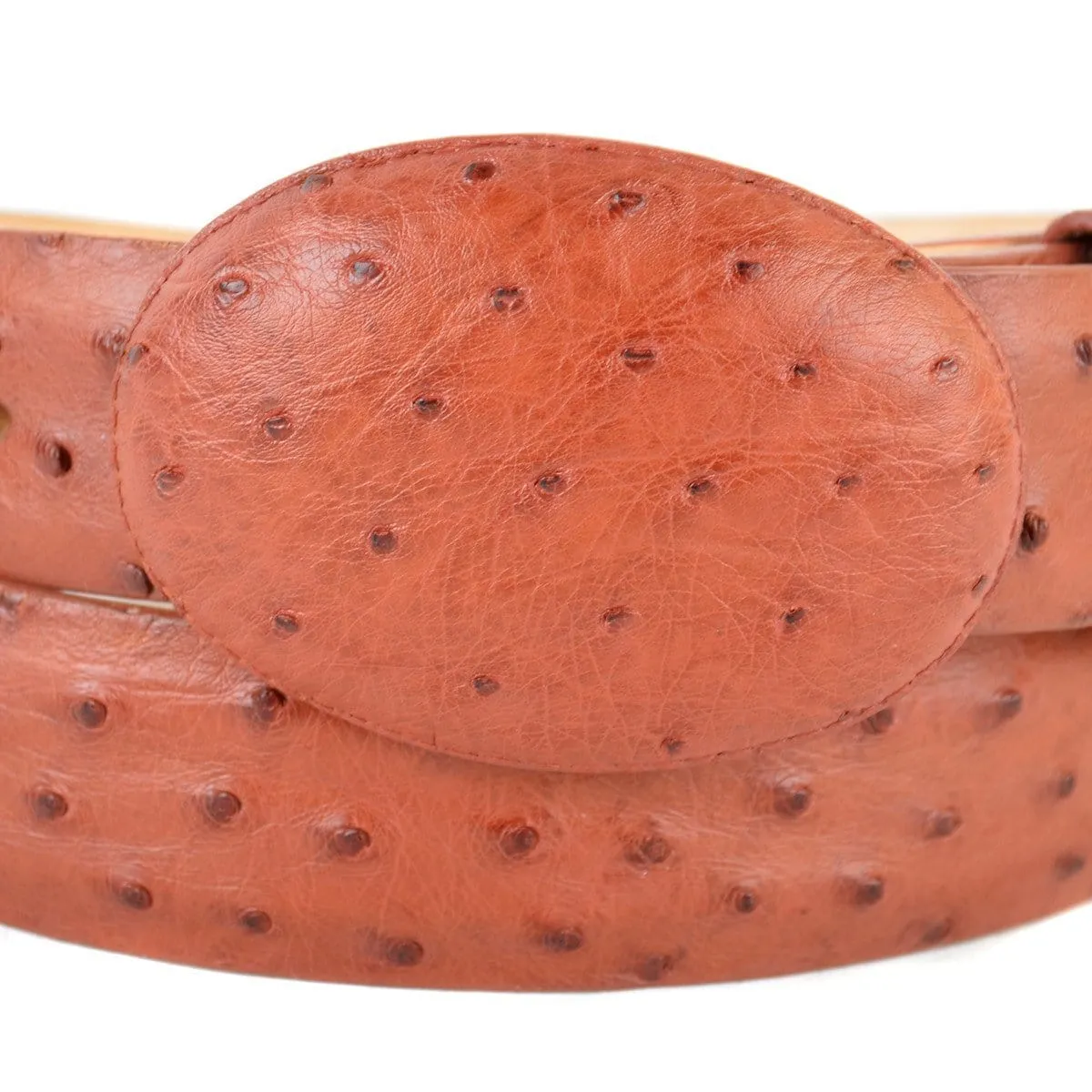 Men's Los altos Ostrich Cowboy Belt C11U0303
