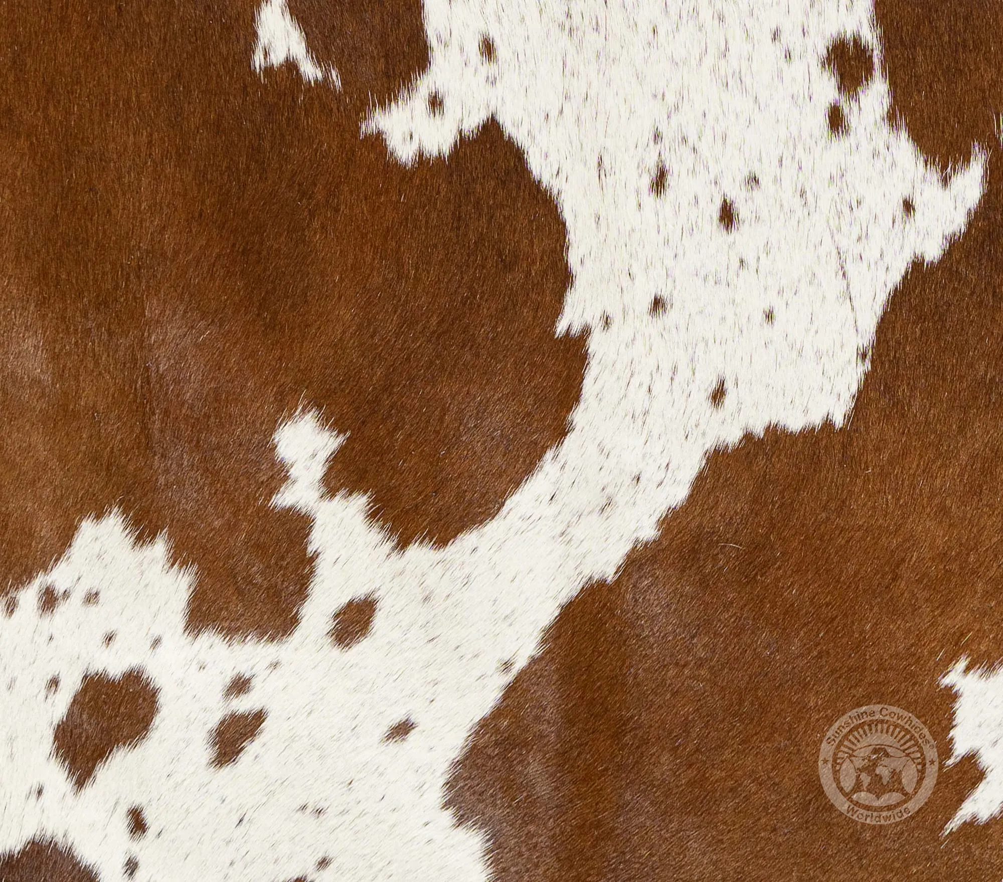 Mini Cowhide Rug -  Spotted